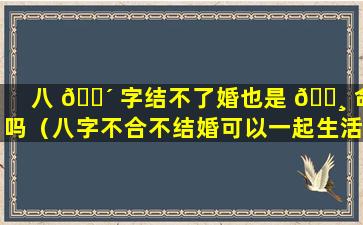 八 🐴 字结不了婚也是 🕸 命吗（八字不合不结婚可以一起生活吗）